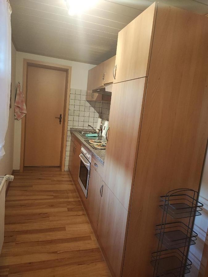 Ferienwohnung Zinke Schmiedefeld am Rennsteig Exterior foto